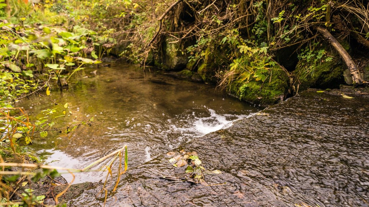 AreaSummer1KM AreaSummer1KM